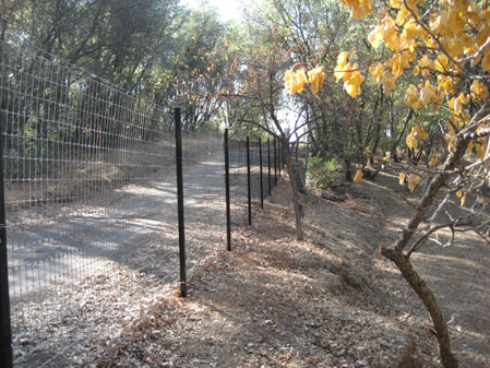 Chain Link Fence Sacramento, CA